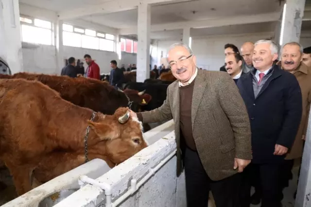 Ordu'da Hayvan Oteli Ordu'da Hayvan Oteli