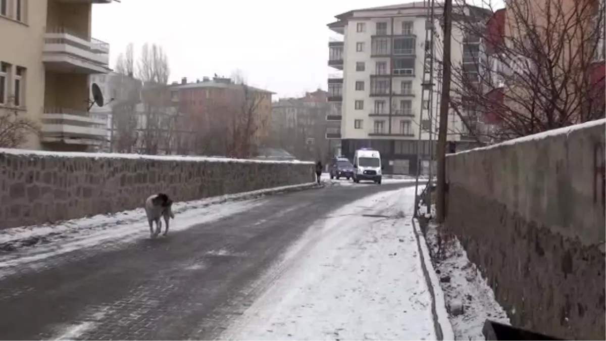 '1 Nisan şakası' yapan da 'İneğim doğuruyor ambulans gönderin' diyen de 112'yi arıyor