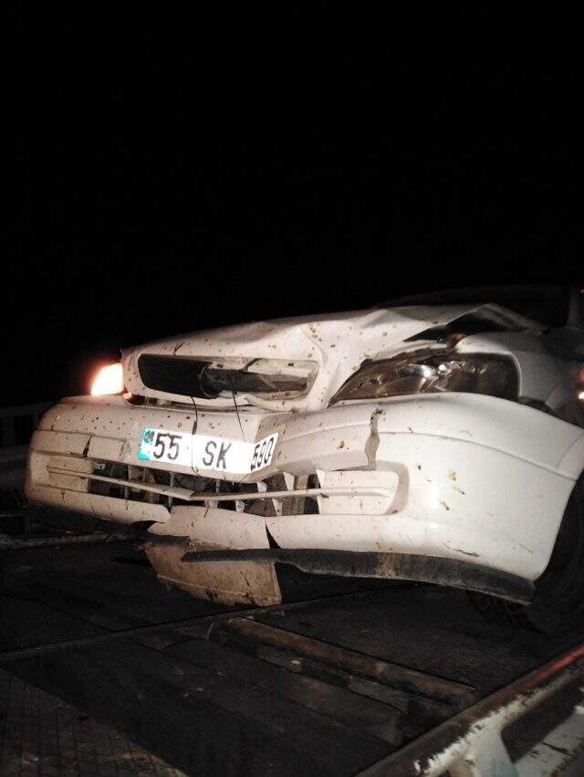 Artvin'de yola inen ayıya otomobil çarptı