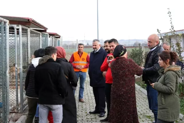 Başkan Kılıç: 'Hayvanlar bize Allah'ın emaneti' Başkan Kılıç: 'Hayvanlar bize Allah'ın emaneti'