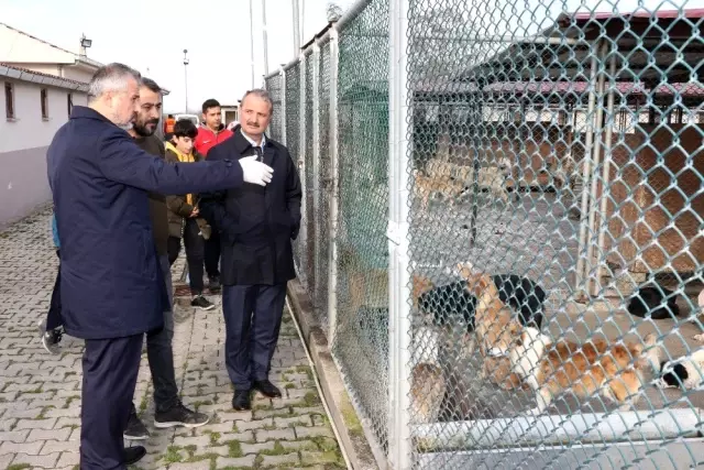 Başkan Kılıç: 'Hayvanlar bize Allah'ın emaneti' Başkan Kılıç: 'Hayvanlar bize Allah'ın emaneti'