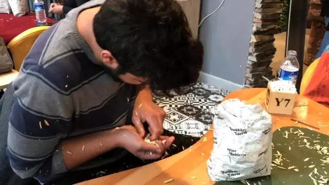 Muhabbet için değil, altın kazanmak için çekirdek çitlediler Muhabbet için değil, altın kazanmak için çekirdek çitlediler