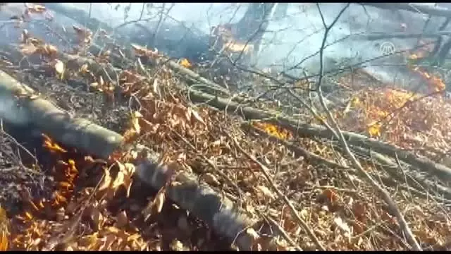 Orman yangını kontrol altına alındı