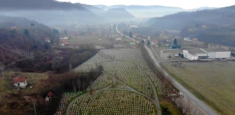(Özel) Srebrenitsa annesinden Nobel Ödüllü yazara: 'Katliamın kanıtı işte bu mezarlık'