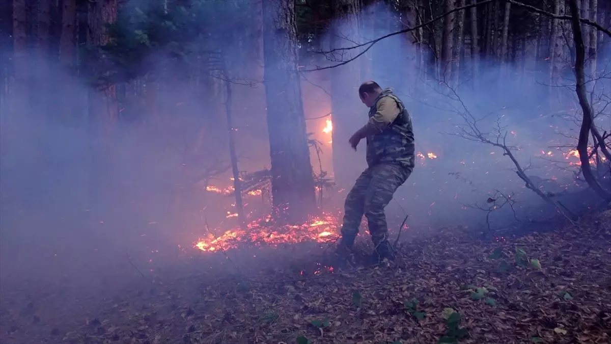Uludağ'da çıkan orman yangını kontrol altına alındı