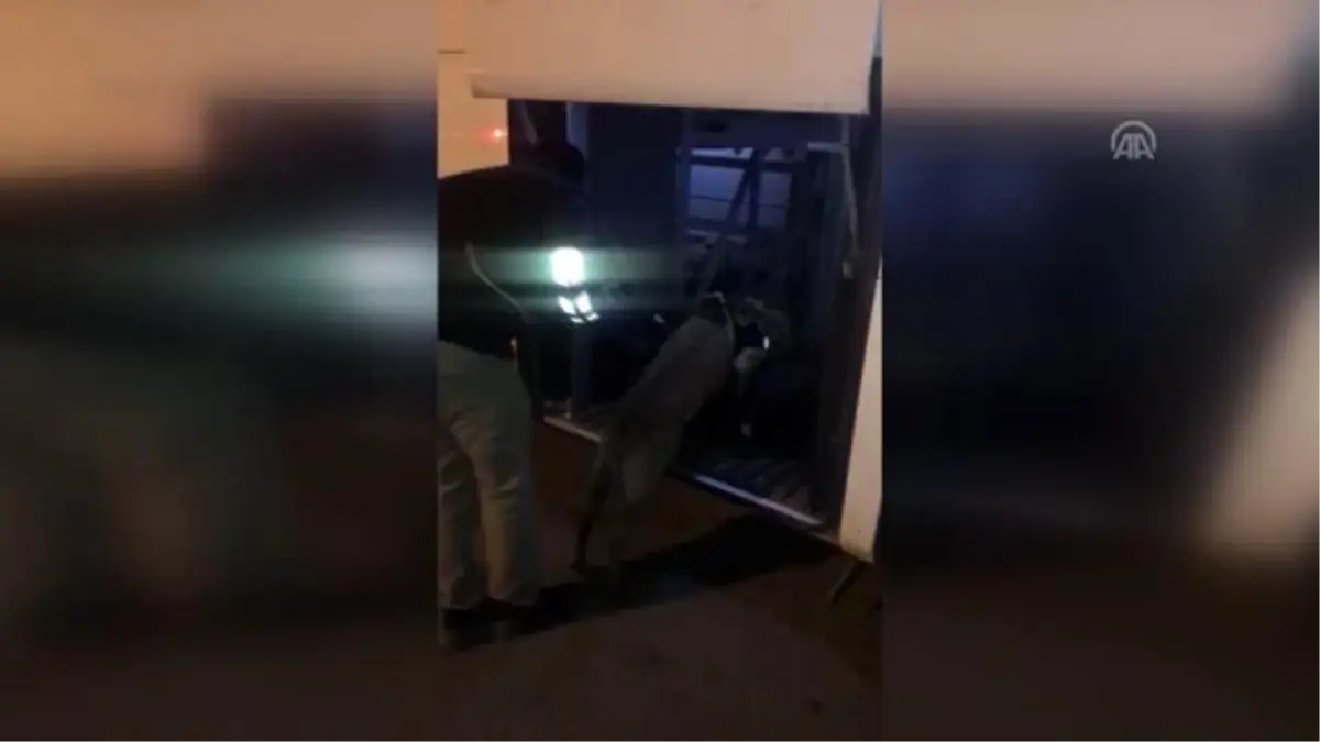 Yolcu otobüsünde 1 kilogram esrar ele geçirildi