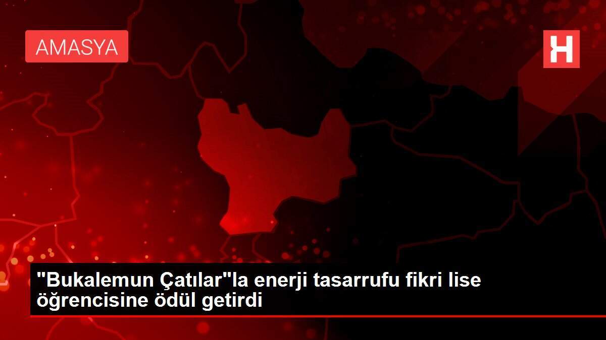 'Bukalemun Çatılar'la enerji tasarrufu fikri lise öğrencisine ödül getirdi