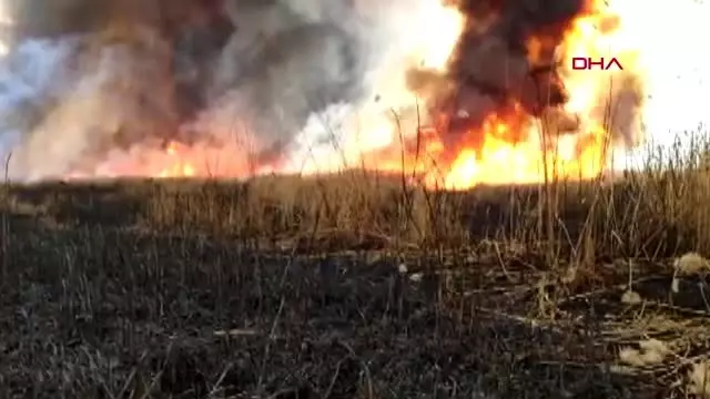 Eber gölü'ndeki sazlık alanda yangın