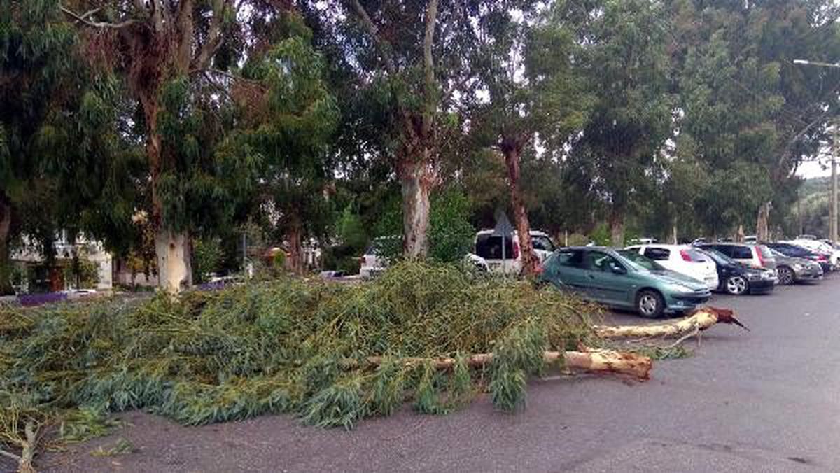 Fırtına, Foça'yı savaş alanına çevirdi