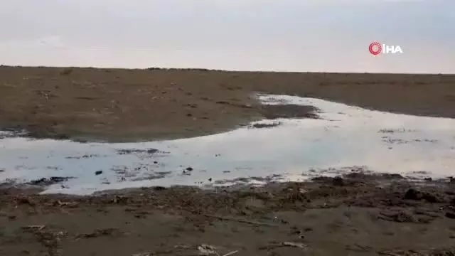 Gölbaşı'nın ardından İznik Gölü'nü de kuraklık vurdu Gölbaşı'nın ardından İznik Gölü'nü de kuraklık vurdu