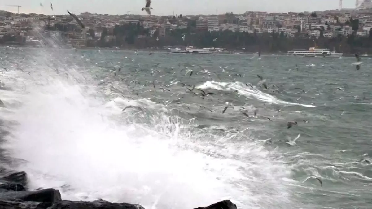 İstanbul'da şiddetli lodos etkili oluyor