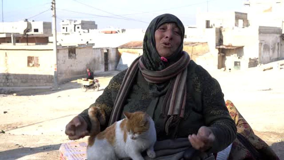 İdlib'deki bombardımandan tekerlekli sandalyesiyle kaçan kadın, yanına 35 kedisinden sadece birini alabildi