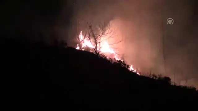 Arsin'deki örtü yangınlarını söndürme çalışmaları sürüyor Arsin'deki örtü yangınlarını söndürme çalışmaları sürüyor