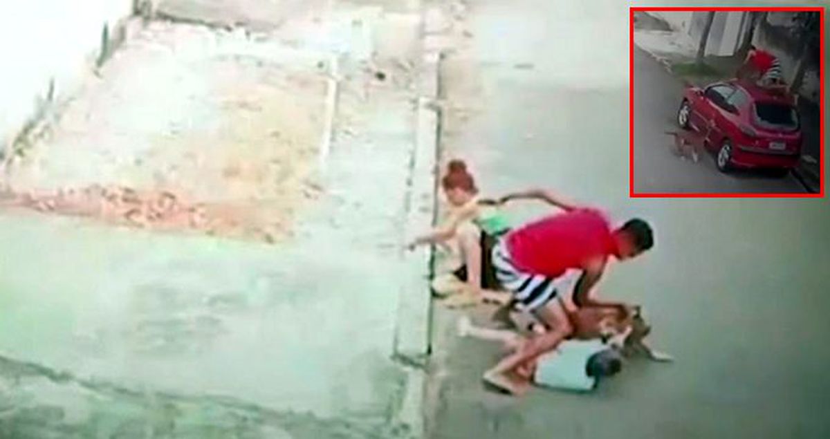 Brezilya'da genç adam küçük çocuğu pitbull saldırısından kurtardı