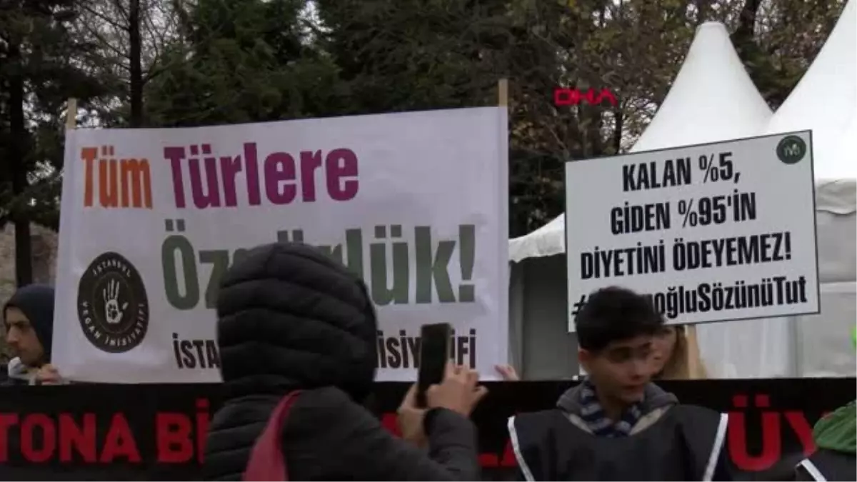 İbb önündeki fayton protestosu 6. gününde