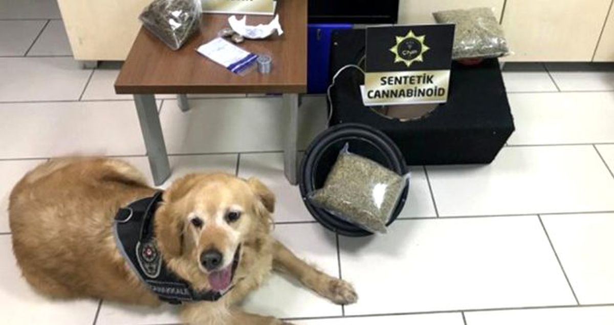 Narkotik köpeği, hoparlörün içinde 2 kilogram uyuşturucu buldu