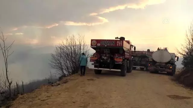 Örtü yangınları - Arsin Belediye Başkanı Muhammet Sait Gürsoy Örtü yangınları - Arsin Belediye Başkanı Muhammet Sait Gürsoy