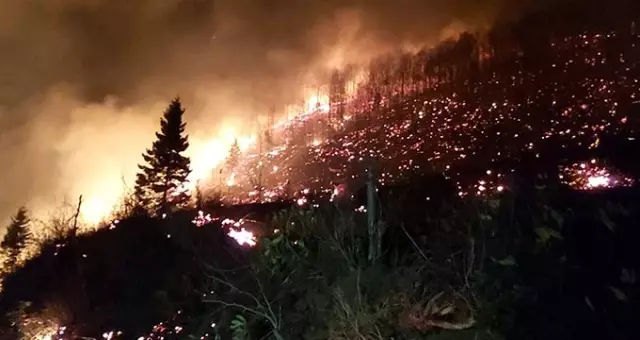 Trabzon'da 26 noktada orman yangını çıktı! Valilik kriz masası kurdu
