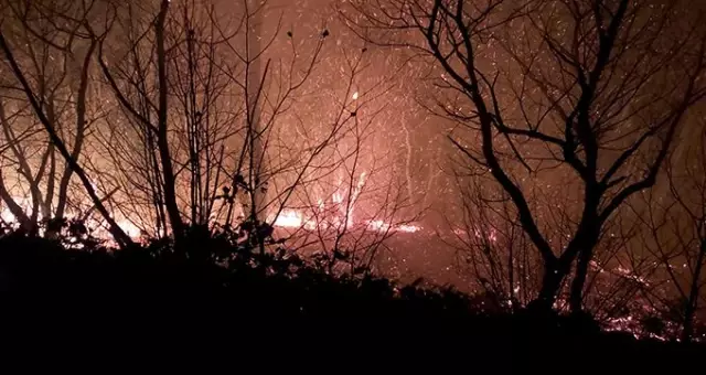 Trabzon'da 6 ilçedeki 8 noktada örtü yangınları devam ediyor! Rize'ye de sıçradı