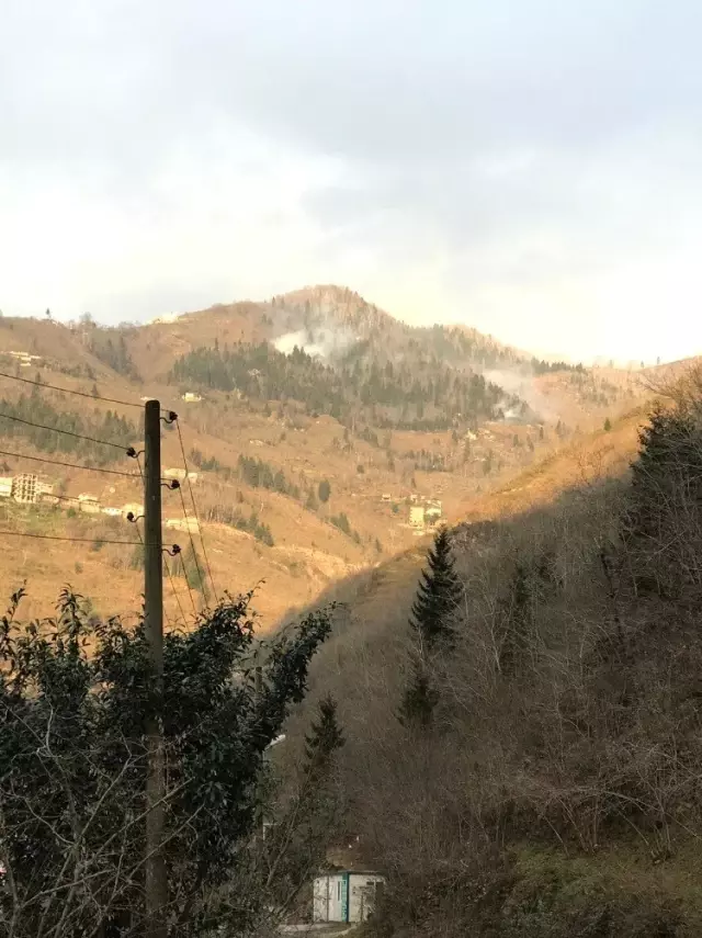 Trabzon'da örtü yangınları sürüyor