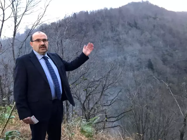 Trabzon'daki örtü yangınları