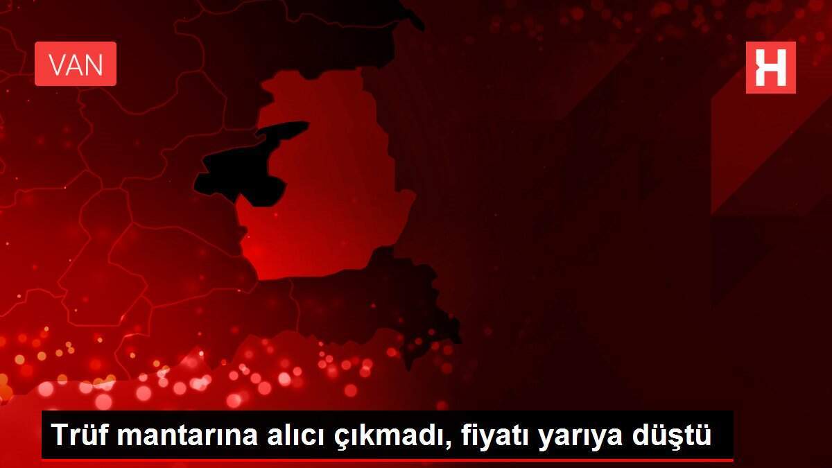 Trüf mantarına alıcı çıkmadı, fiyatı yarıya düştü