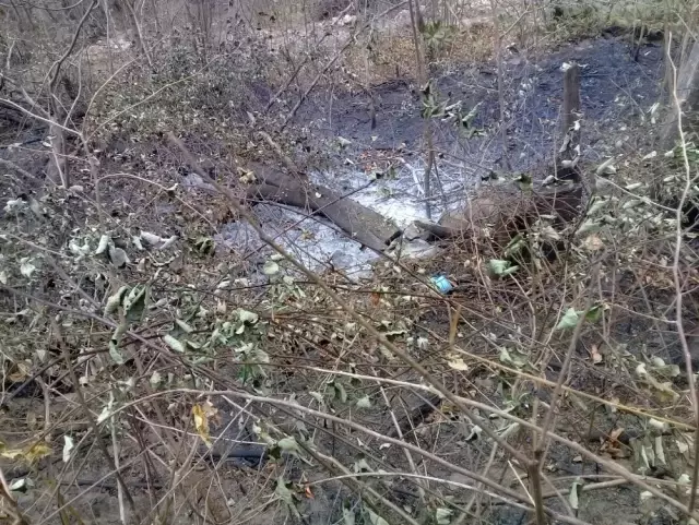 Yangının bilançosu gün ağırınca ortaya çıktı Yangının bilançosu gün ağırınca ortaya çıktı