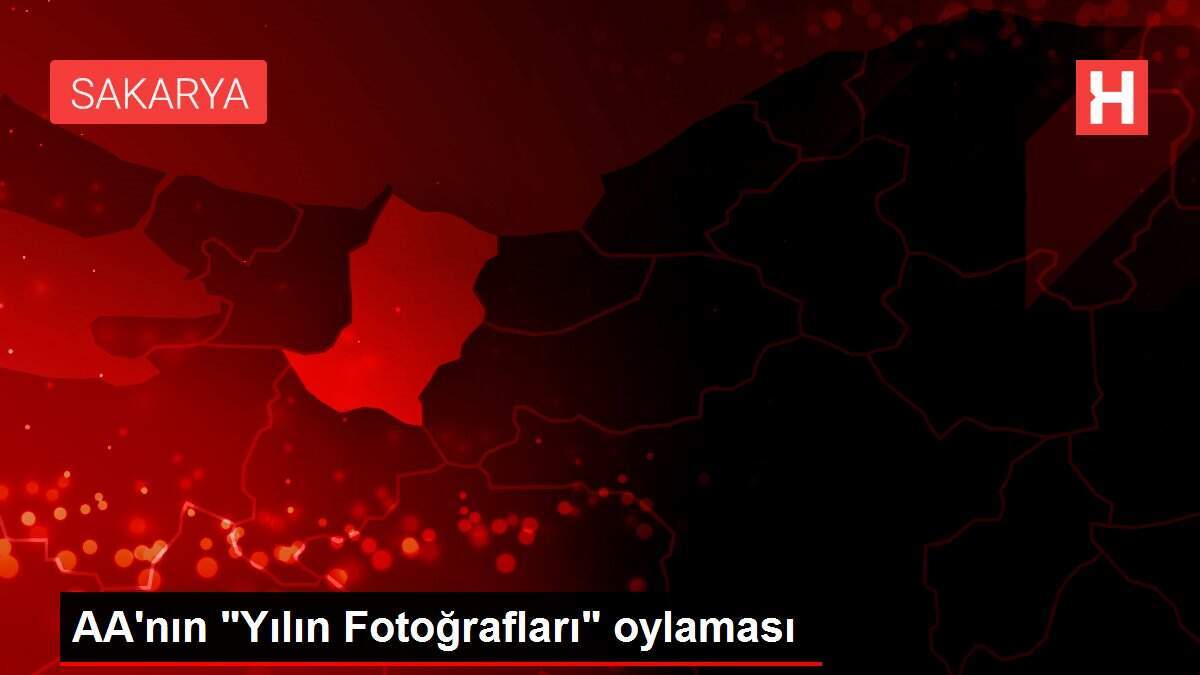 AA'nın 'Yılın Fotoğrafları' oylaması