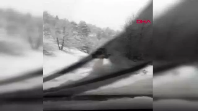 Adana sele teslim oldu
