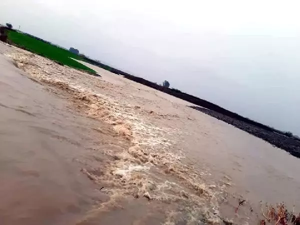 Adana sele teslim oldu (6)