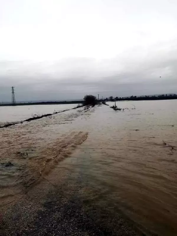 Adana sele teslim oldu (6)
