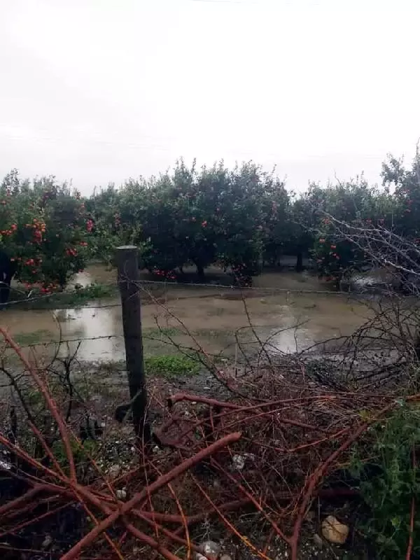 Adana sele teslim oldu (6)