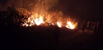 Bakan Pakdemirli Trabzon'da örtü yangını çıkan bölgelerde incelemelerde bulundu