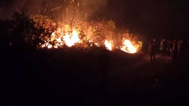 Bakan Pakdemirli Trabzon'da örtü yangını çıkan bölgelerde incelemelerde bulundu