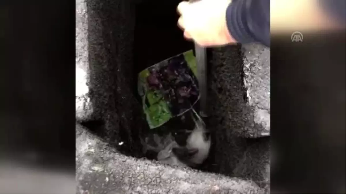 Evin bacasında mahsur kalan tavşan itfaiye ekiplerince kurtarıldı