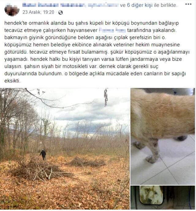 Her satırı iğrenç! Ormanlık alanda, köpeğe cinsel istismar uygularken yakalandı