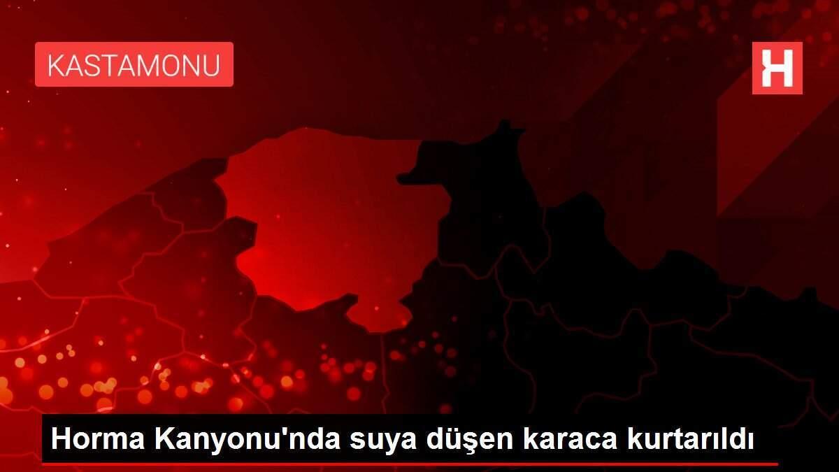 Horma Kanyonu'nda suya düşen karaca kurtarıldı
