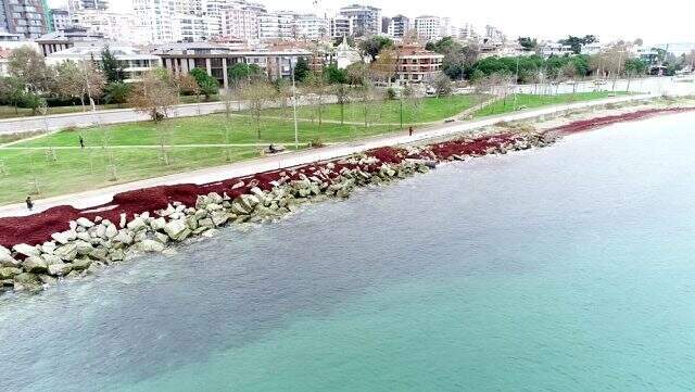 İstanbul'da sahil kesimi kızıl renge büründü