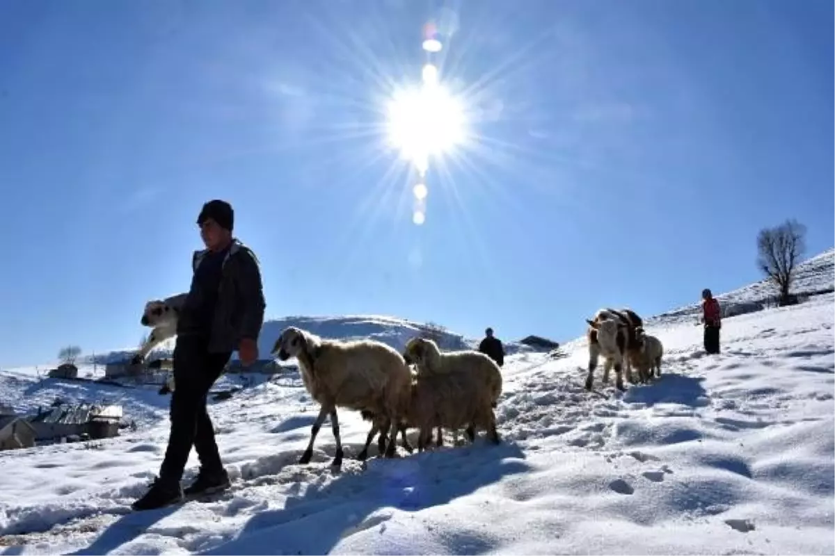 Muş'ta iki mevsim bir arada