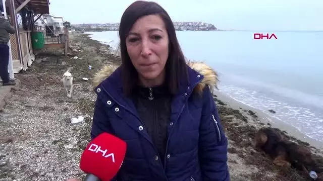 Silivri'de vurularak öldürülen köpeğin sahibi konuştu Silivri'de vurularak öldürülen köpeğin sahibi konuştu
