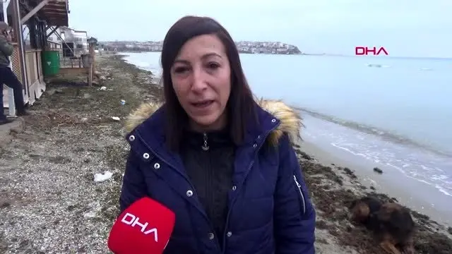 Silivri'de vurularak öldürülen köpeğin sahibi konuştu
