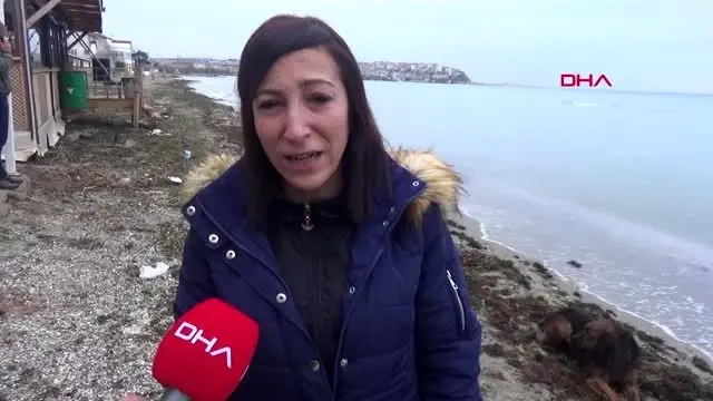 Silivri'de vurularak öldürülen köpeğin sahibi konuştu