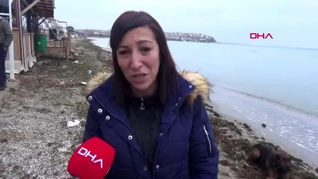 Silivri'de vurularak öldürülen köpeğin sahibi konuştu