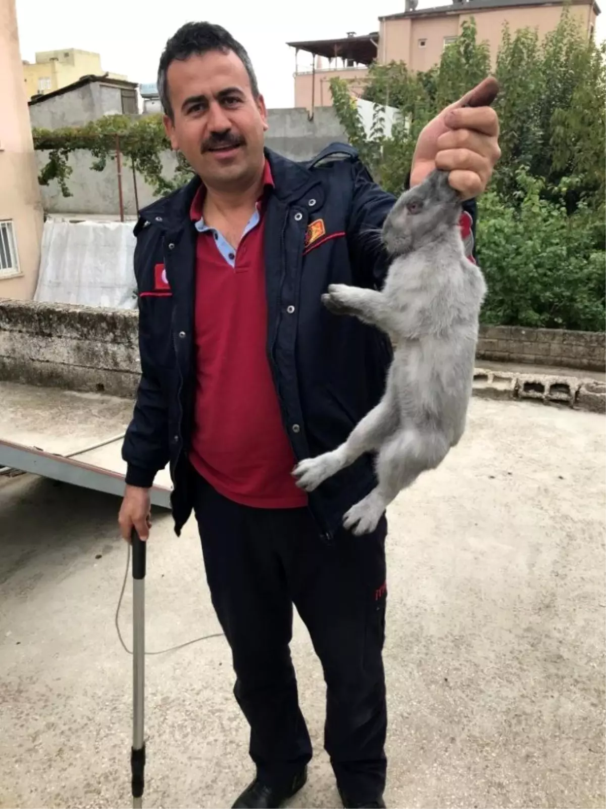 Bacanın içine düşen tavşan kurtarıldı