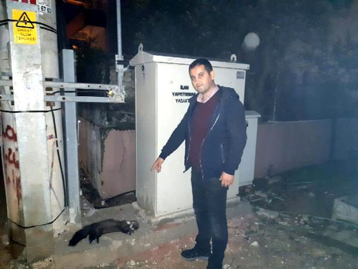 Elektrik panosuna giren sansar,akıma kapılarak telef oldu