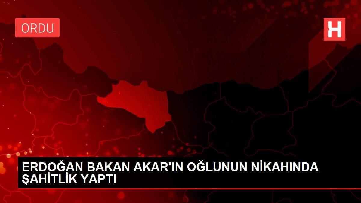 ERDOĞAN BAKAN AKAR'IN OĞLUNUN NİKAHINDA ŞAHİTLİK YAPTI ERDOĞAN BAKAN AKAR'IN OĞLUNUN NİKAHINDA ŞAHİTLİK YAPTI