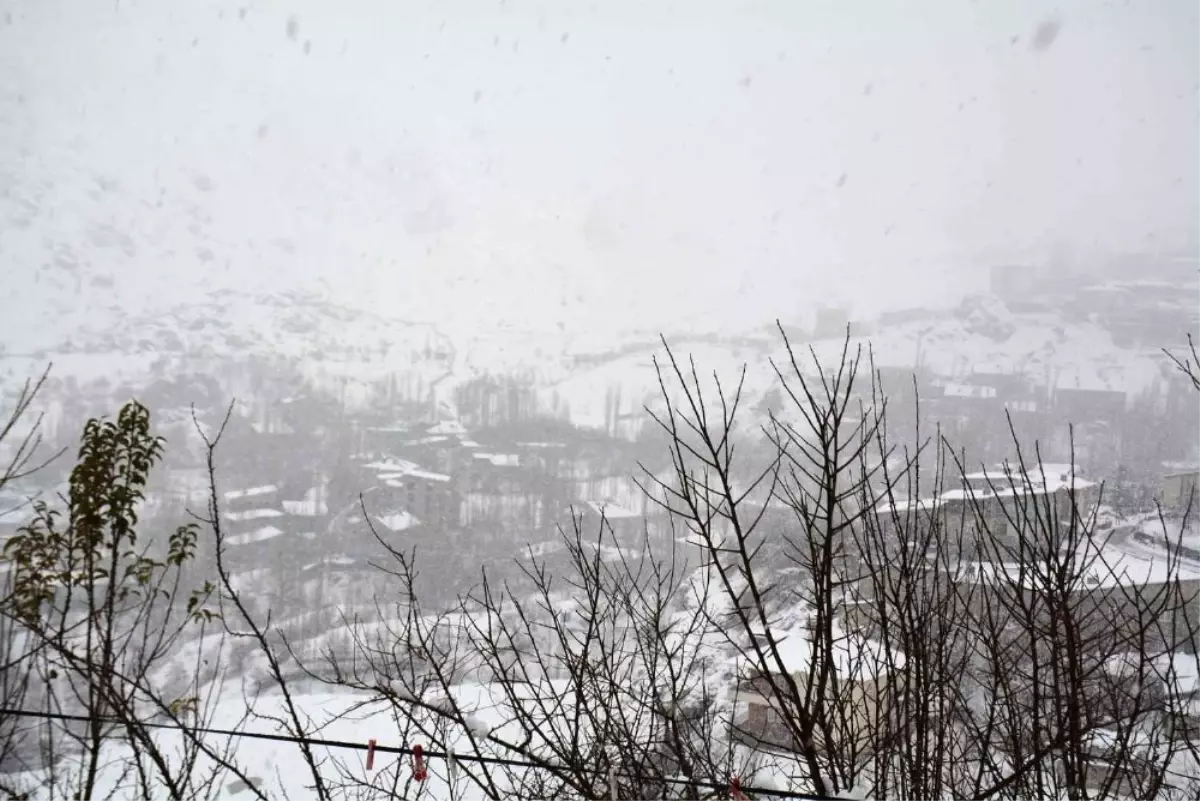 Hakkari'de 24 köy ve 51 mezra yolu ulaşıma kapandı