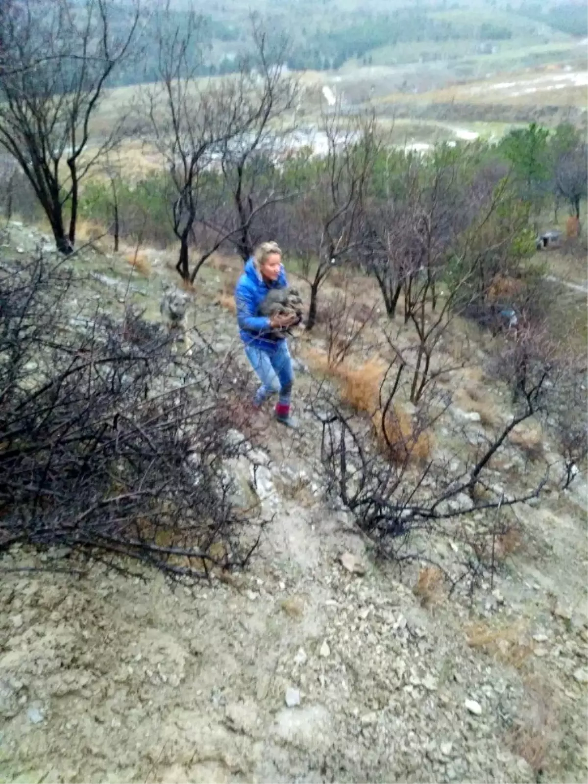 Hayvansever çiftten yürek ısıtan görüntüler