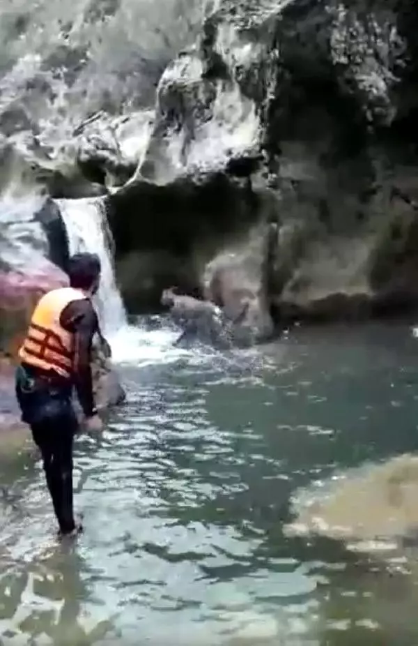 Kanyonda karacayı kurtaran itfaiyeci: 1,5 saatte kurtardık