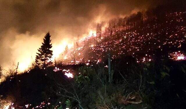 Karadeniz'de yağışların azalmasıyla kuraklık alarmı verildi